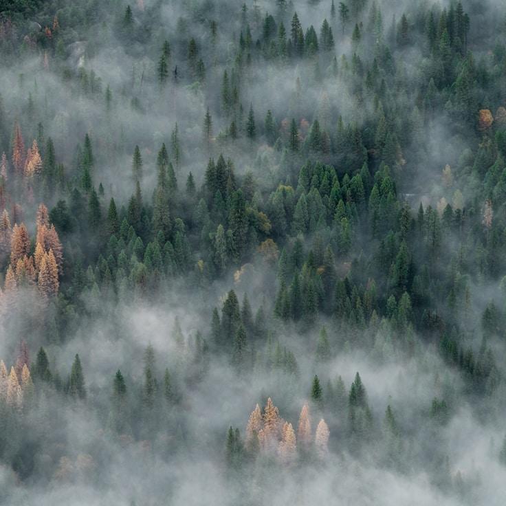 Protected areas overview